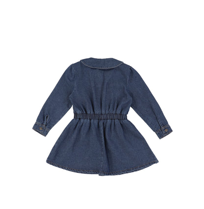 DENIM BUTTON DOWN DRESS