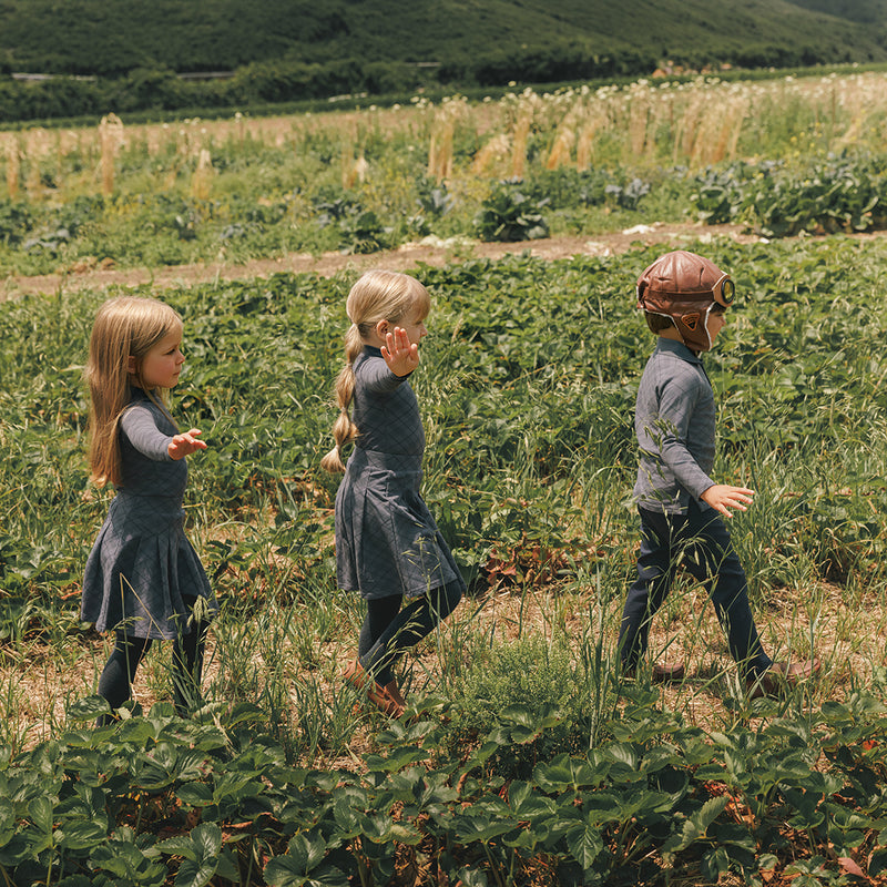 schoolhouse plaid collection