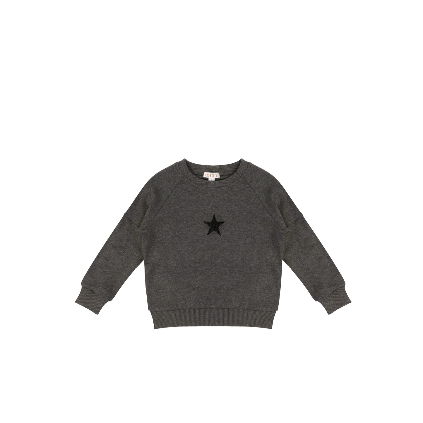 EMBROIDERED STAR SWEATSHIRT