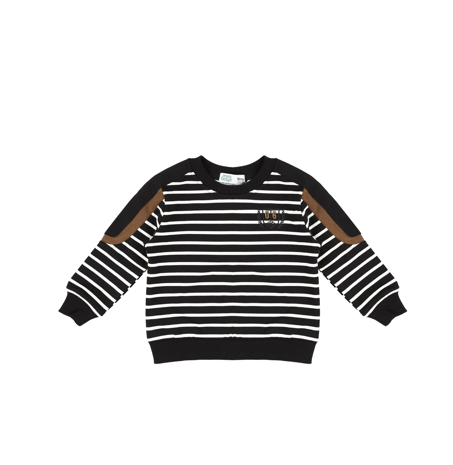 STRIPE VARSITY SWEATSHIRT