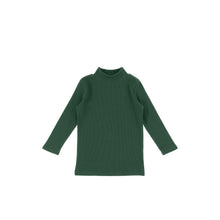 Load image into Gallery viewer, RIBBED TURTLENECK